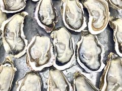-板桥海鲜广场(文明东店)