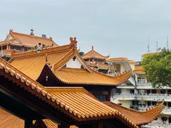 -深圳仙湖植物园