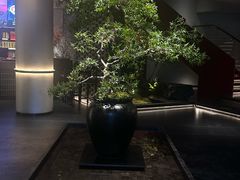 -巴渝菜舍曾氏麻辣风(霸州店)