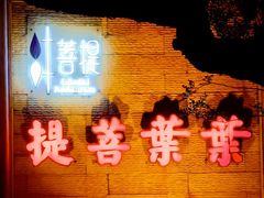 -叶叶菩提(太原别墅店)