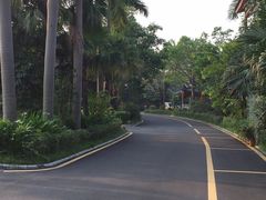 -聚龙湾欢乐水世界