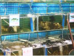水产区-琼大师东方烤乳猪(亚特兰蒂斯店)