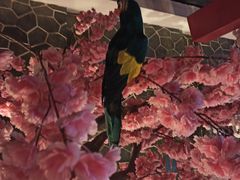 -蓝鲸湾汤泉(包河店)