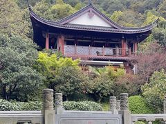 -十八棵（老龙井）御茶园(老龙井店)