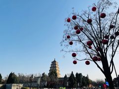 -大慈恩寺(大雁塔)