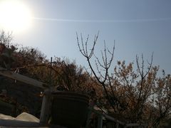 -荒度咖啡(北九水店)