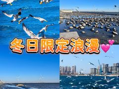 -聚味斋香辣蟹·蓝龙(塘沽总店)