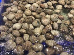 -诱货海鲜自助火锅(爱琴海购物公园东百店)