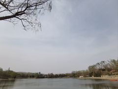 -北坞公园