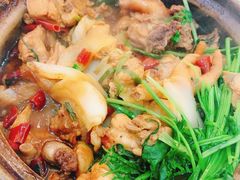 渝君鸡煲-渝君重庆火锅(嘉宾路店)