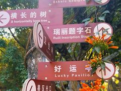 -独树成林