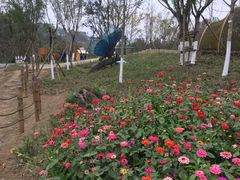 -黄龙溪欢乐田园