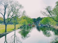 -上海共青森林公园