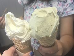-野人先生现做冰淇淋(北京顺义祥云小镇店)
