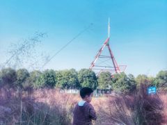 -艾溪湖湿地公园