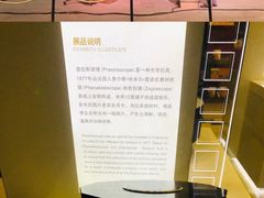 -上海电影博物馆