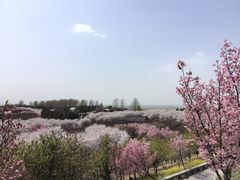 -古柏渡飞黄旅游区