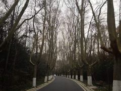 -雨花台烈士纪念馆