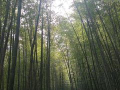 -南山风景名胜区