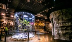 -Zoolung Zoolung动物主题公园(海信广场店)