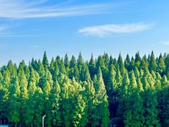 -南京金牛湖风景区