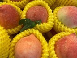 -姜美堂·蒸姜除湿の纤体美颜馆