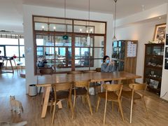 大堂-猫小主咖啡·猫咖cat cafe(福田店)