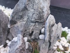 -马家斑.鲜鱼火锅(松湖万科店)