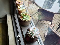 -Africafe(非洲咖啡)