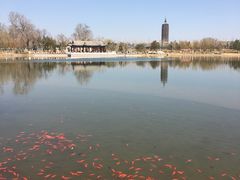 -西海子公园