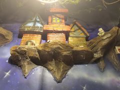 -祖母的魔法厨房(印象城店)