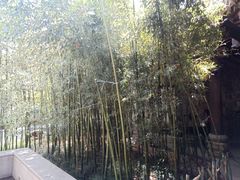 -陕拾叁(袁家村店)