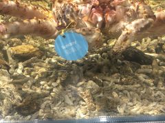 -盒马鲜生(曜一城店)