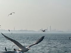 -星海广场