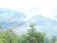 -紫鹊界梯田景区