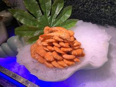 -济南蓝海御华大饭店·蓝钻国际美食自助百汇(山东书城店)