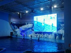 -福州罗源湾海洋世界旅游区