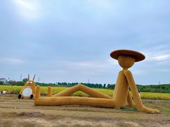 -武汉紫薇都市田园