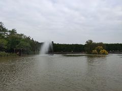 -大湾区中央湿地公园