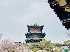 -迎泽公园