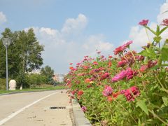 -长春世界雕塑园冰雪艺术天地