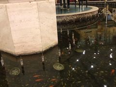 -碧中海汤泉汗蒸酒店