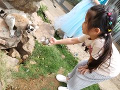 -无锡动物园·太湖欢乐园
