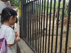 -鄂尔多斯野生动物园