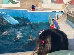 -秦皇岛乐岛海洋王国