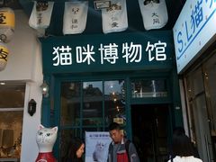 -猫咪博物馆(顶澳仔猫街店)