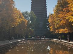 -玲珑塔公园