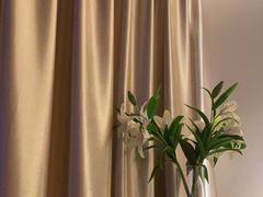 -良子足疗按摩