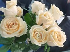 -循礼门鲜花花市(武汉循礼门店)