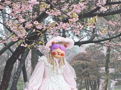 -南山植物园